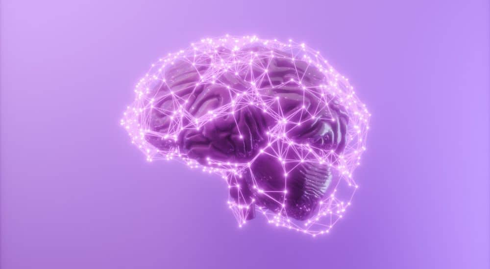 Cerveau humain 3D avec points de connexion et lignes de plexus, fluor developpement cognitif